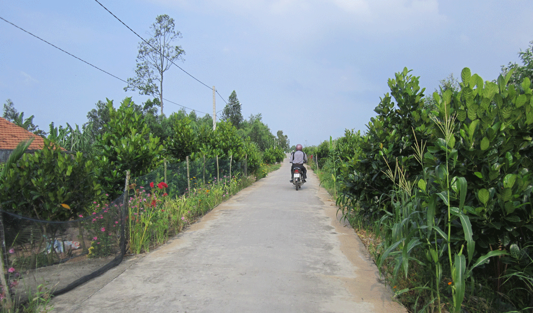 Dạo chơi một góc Đồng Tháp Mười