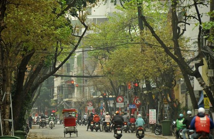 Hà Nội mùa cây thay lá