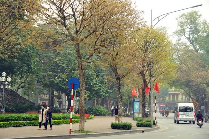 Hà Nội mùa cây thay lá