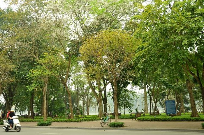 Hà Nội mùa cây thay lá