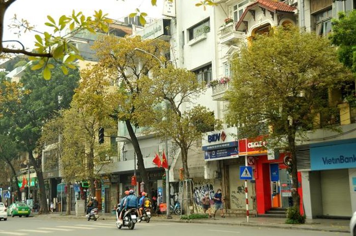 Hà Nội mùa cây thay lá