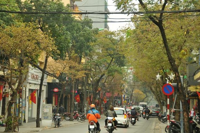 Hà Nội mùa cây thay lá