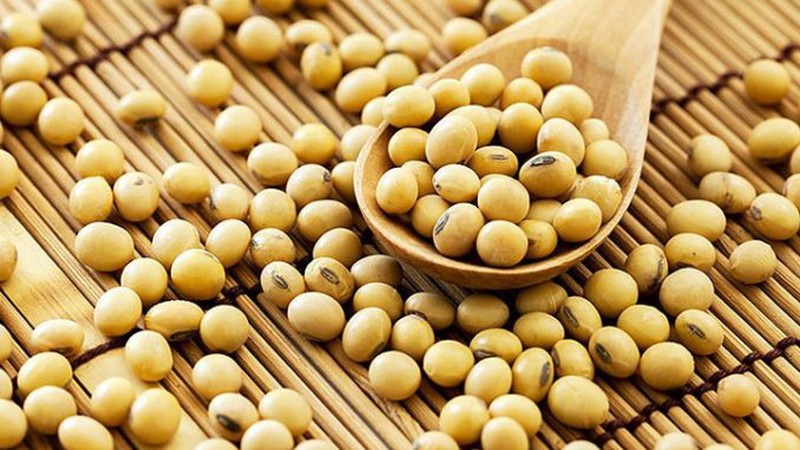 Protein có trong đậu nành tốt hay xấu cho cơ thể?