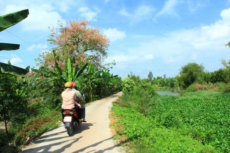 Rợp cây trái giữa Đồng Tháp Mười