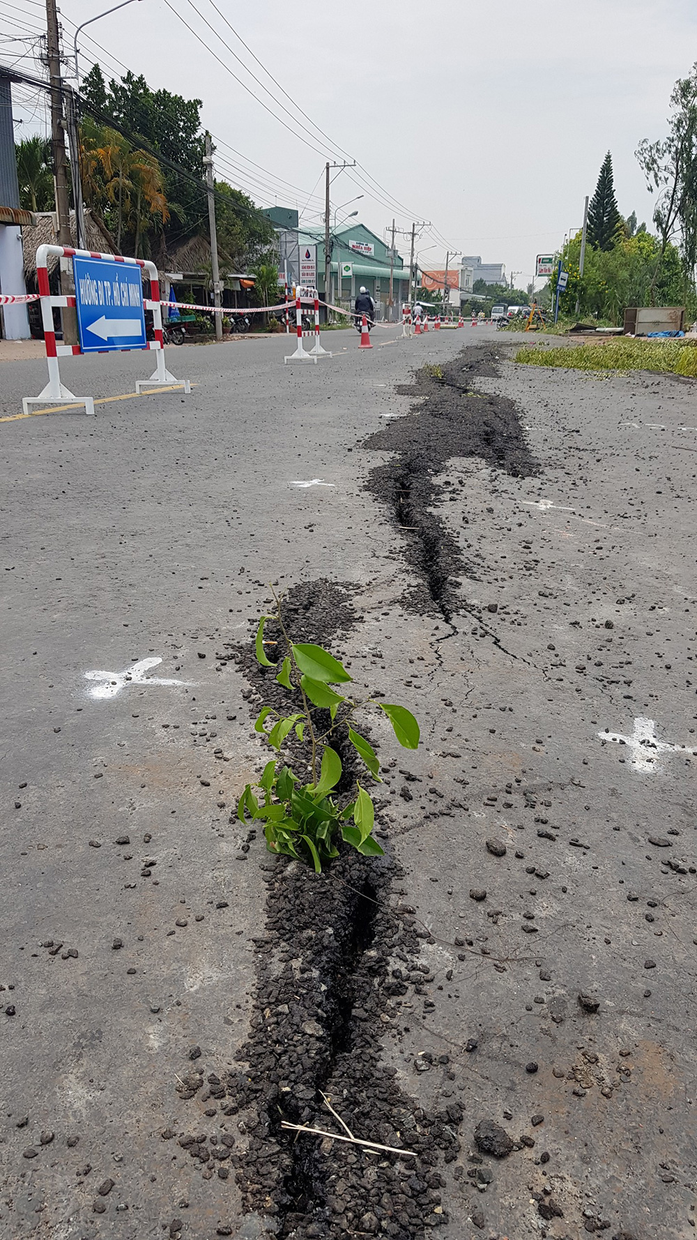 Giải pháp chống sạt lở và bồi lắng cho ĐBSCL