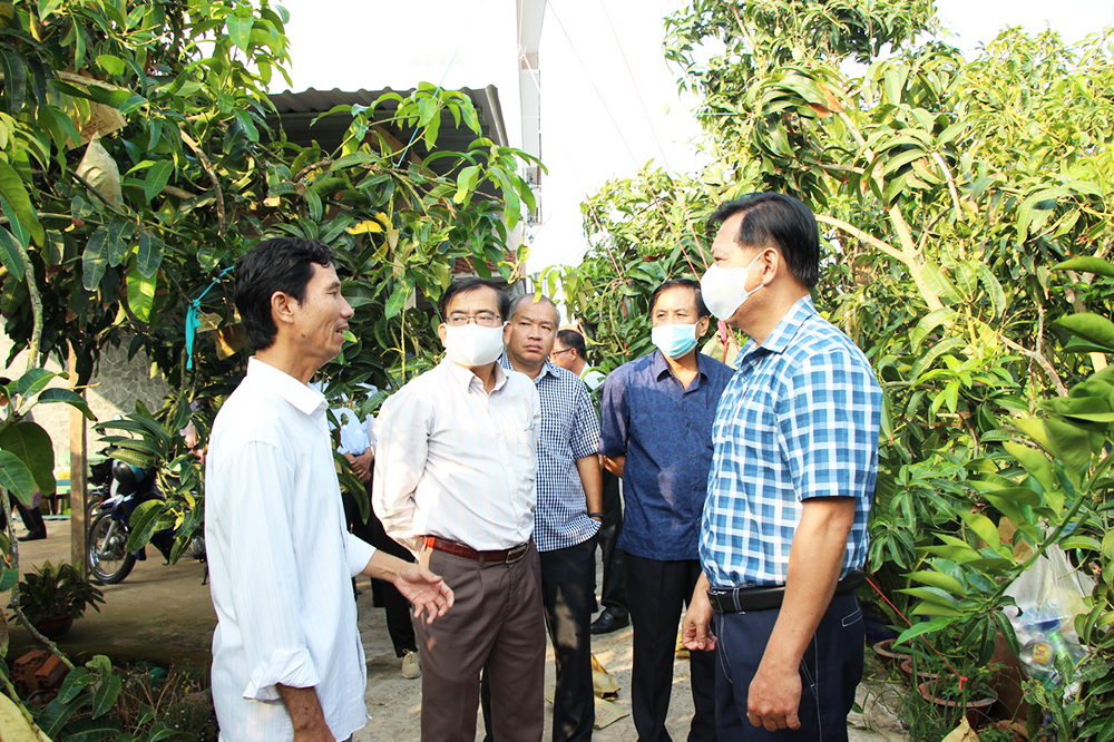 Phó Chủ tịch UBND tỉnh An Giang Trần Anh Thư kiểm tra tiến độ thực hiện tiêu chí nông thôn mới nâng cao và tiêu thụ nông sản của huyện Chợ Mới Phó Chủ tịch UBND tỉnh An Giang Trần Anh Thư kiểm tra tiến độ thực hiện tiêu chí nông thôn mới nâng cao và tiêu thụ nông sản của huyện Chợ Mới