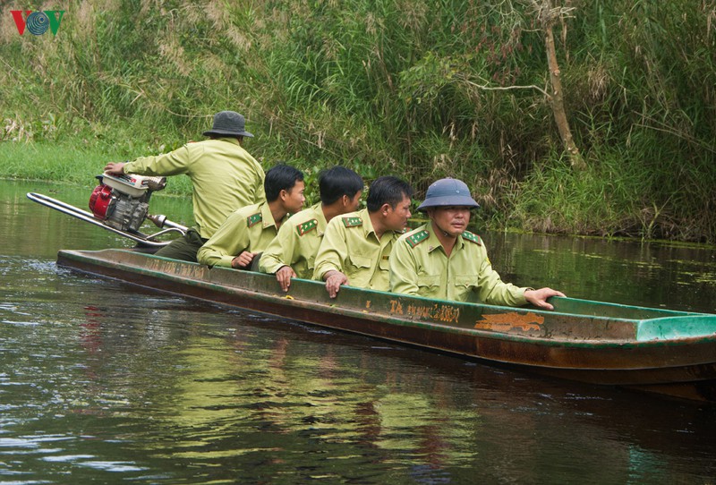 “Canh lửa” nơi đất rừng U Minh hạ