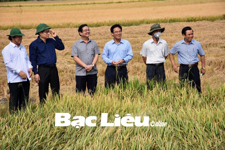 Bạc Liêu: Góp phần đảm bảo an ninh lương thực quốc gia