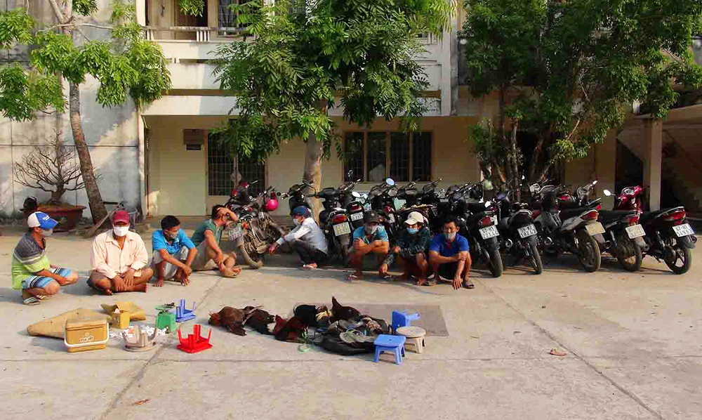Công an TX. Tân Châu triệt phá tụ điểm đá gà, lắc tài xỉu Công an TX. Tân Châu triệt phá tụ điểm đá gà, lắc tài xỉu