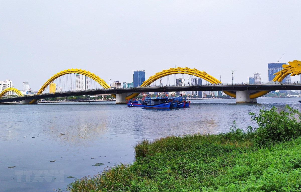 Đà Nẵng, Thừa Thiên-Huế hoãn Đại hội Đảng cấp cơ sở vì dịch COVID-19