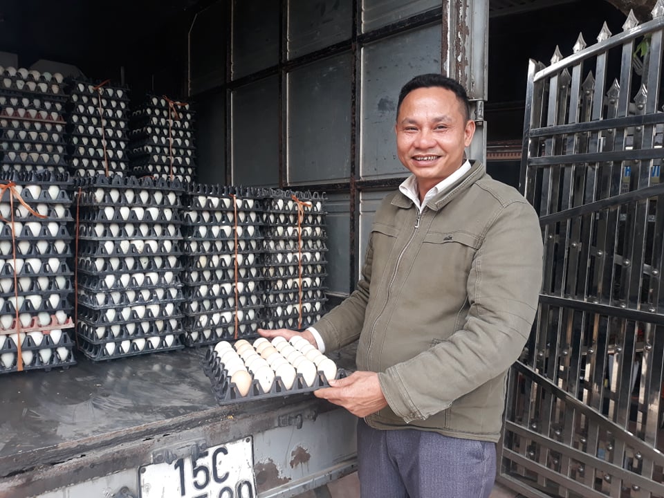Giá gia cầm hôm nay 29-3: Nuôi gà Ai Cập đẻ trứng, 1 vốn 4 lời