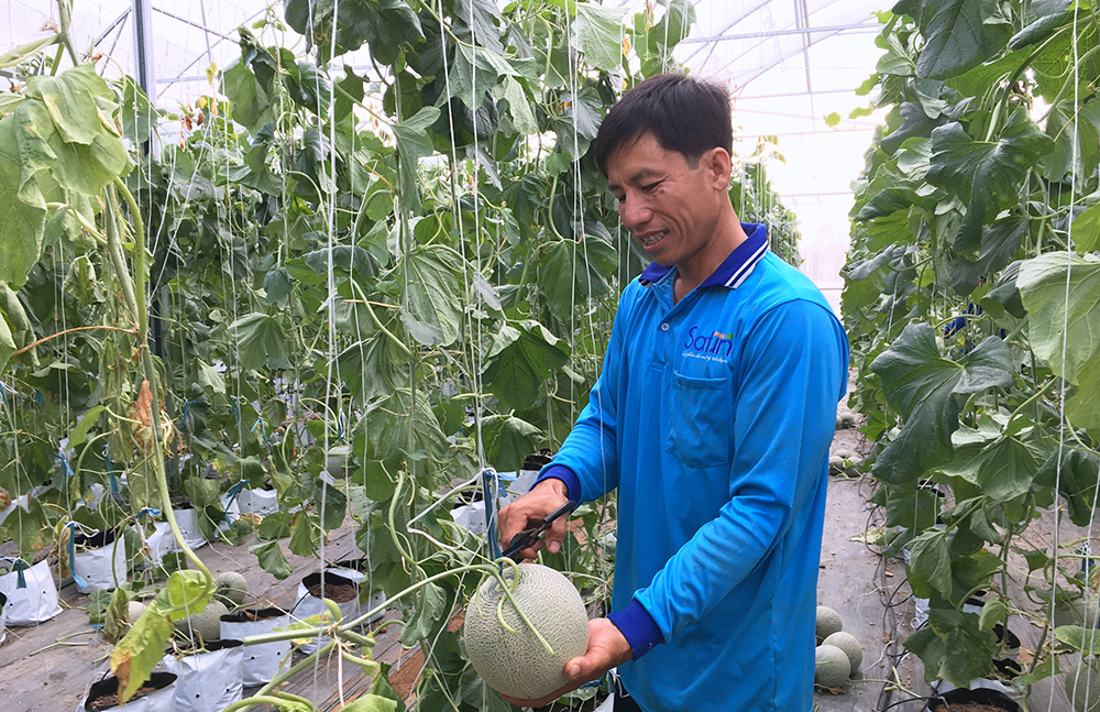 Phát triển các mô hình nông nghiệp ứng dụng công nghệ cao Phát triển các mô hình nông nghiệp ứng dụng công nghệ cao