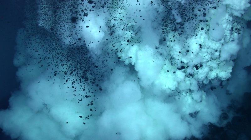 Phát hiện loài vi khuẩn kỳ quái chưa từng thấy dưới đáy biển sâu