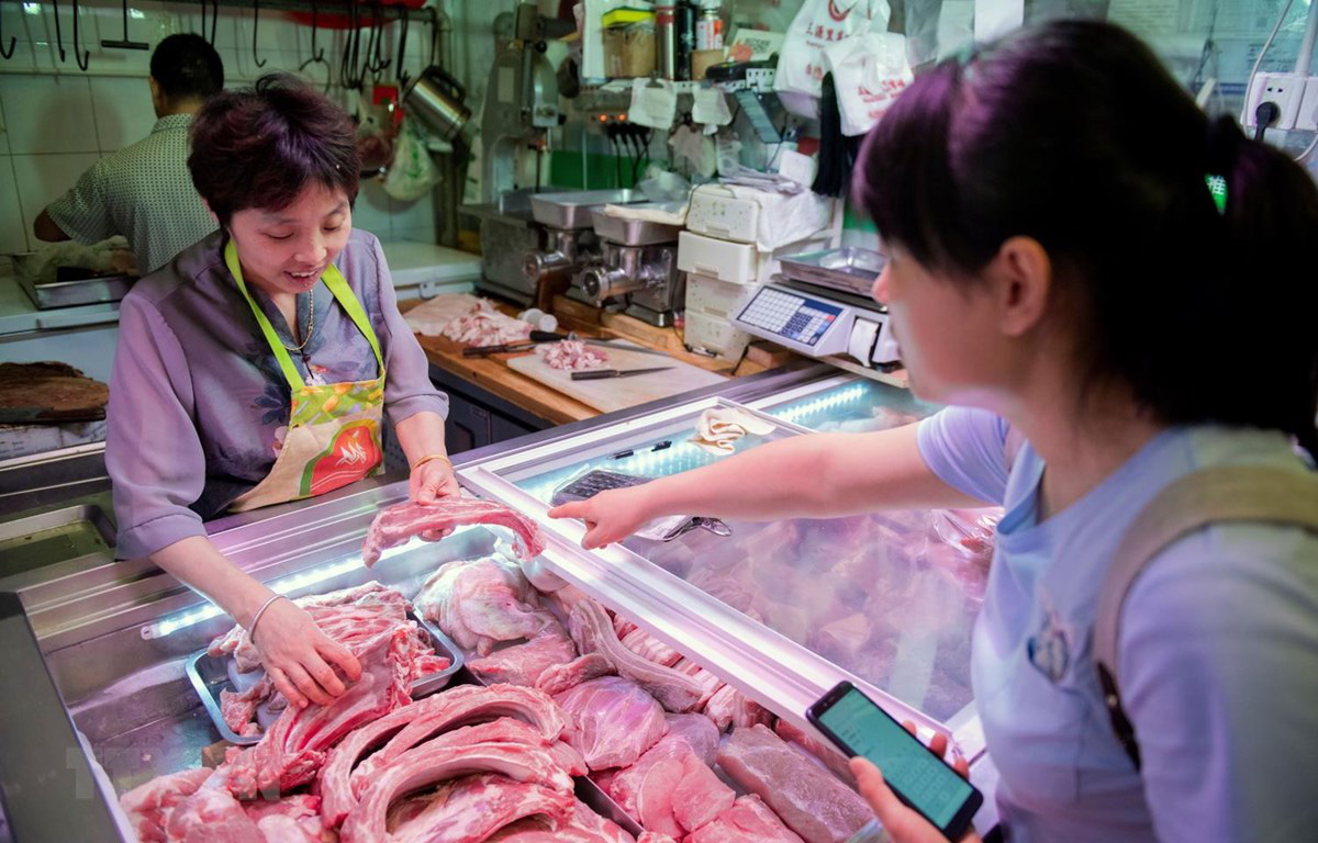 Giá heo hơi hôm nay 7-4: Trung Quốc đề xuất nuôi lợn ở nước ngoài do thiếu thịt