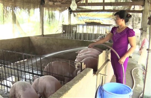 Bộ trưởng NN&PTNT: Đẩy mạnh tái đàn lợn an toàn bù thiếu nguồn cung