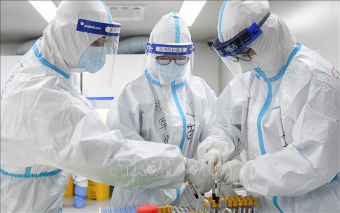 Dịch COVID-19: WHO lo ngại thế giới thiếu 5.9 triệu y tá