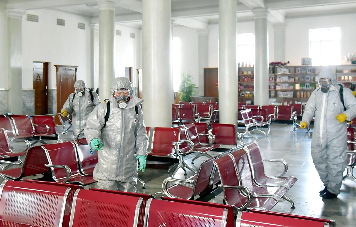 WHO: Triều Tiên đang triển khai xét nghiệm virus SARS-CoV-2