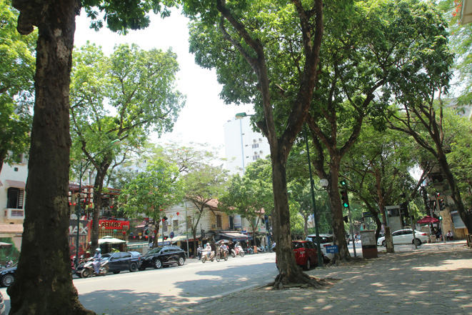 Thời tiết ngày 10-4: Bắc Bộ có sương mù về đêm và sáng, nhiệt độ cao nhất 28 độ C