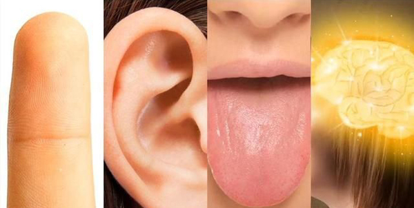 8 điều kỳ diệu về cơ thể con người khiến bạn khó tin