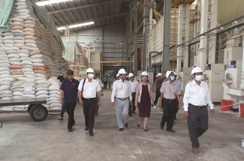 Tăng xuất khẩu để phục hồi kinh tế