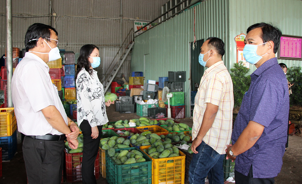 Bí thư Tỉnh ủy An Giang Võ Thị Ánh Xuân khảo sát tình hình sản xuất, tiêu thụ nông sản trên địa bàn huyện Chợ Mới Bí thư Tỉnh ủy An Giang Võ Thị Ánh Xuân khảo sát tình hình sản xuất, tiêu thụ nông sản trên địa bàn huyện Chợ Mới