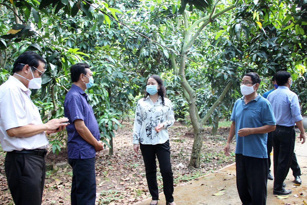 Bí thư Tỉnh ủy An Giang Võ Thị Ánh Xuân khảo sát tình hình sản xuất, tiêu thụ nông sản trên địa bàn huyện Chợ Mới Bí thư Tỉnh ủy An Giang Võ Thị Ánh Xuân khảo sát tình hình sản xuất, tiêu thụ nông sản trên địa bàn huyện Chợ Mới
