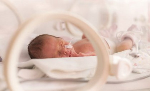 Chế độ ăn nhiều rau củ trước khi mang thai giúp giảm nguy cơ sinh non