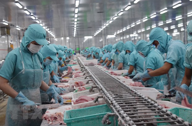 Nông nghiệp với vai trò trụ đỡ cho nền kinh tế Việt Nam