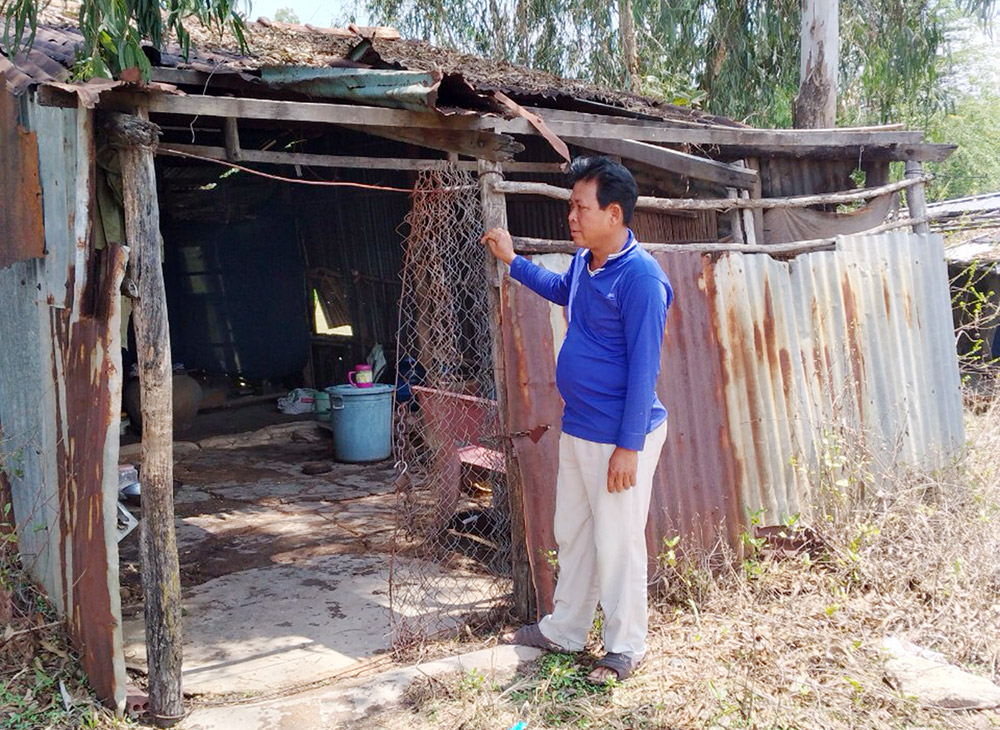 Khiếu nại địa phương thu hồi đất, dỡ nhà, đốn cây trồng không bồi thường