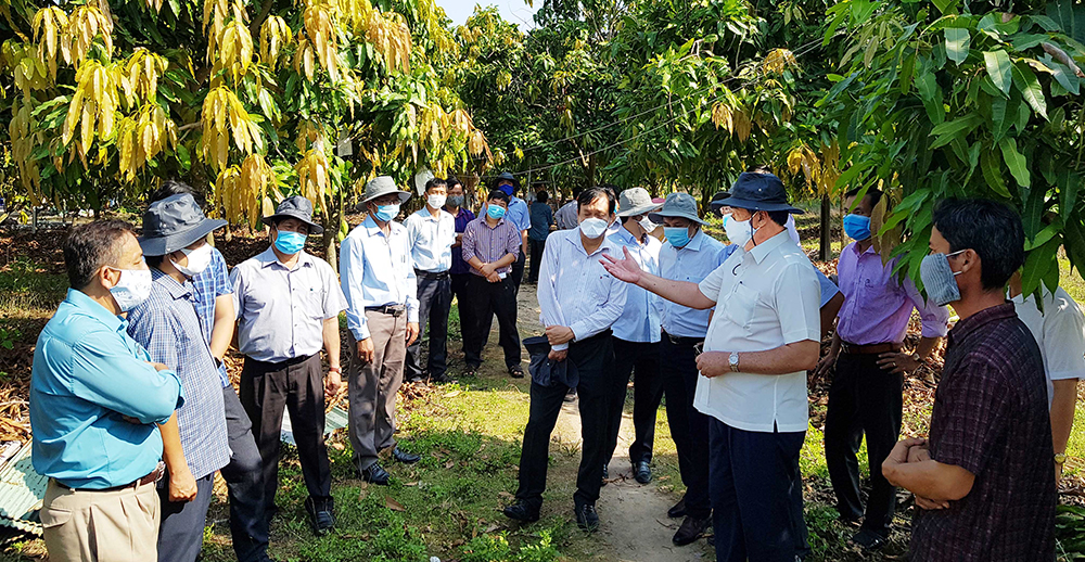 Tri Tôn cần tận dụng tốt cơ hội nông nghiệp Tri Tôn cần tận dụng tốt cơ hội nông nghiệp