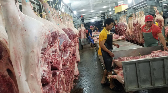 Giá heo hơi hôm nay 23-4: Lập đỉnh 95.000 đ/kg, nông hộ hết cửa tái đàn