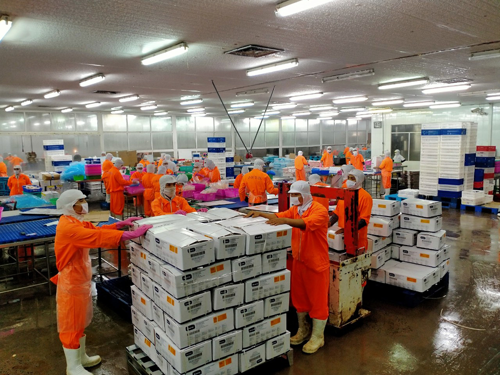 Tập đoàn Nam Việt vẫn duy trì sản xuất trong mùa dịch Tập đoàn Nam Việt vẫn duy trì sản xuất trong mùa dịch