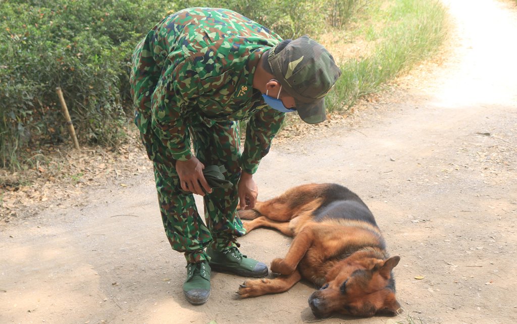 Cảnh khuyển vùng biên