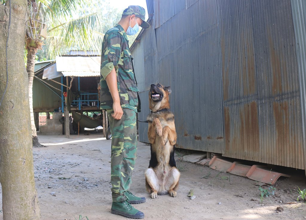Cảnh khuyển vùng biên