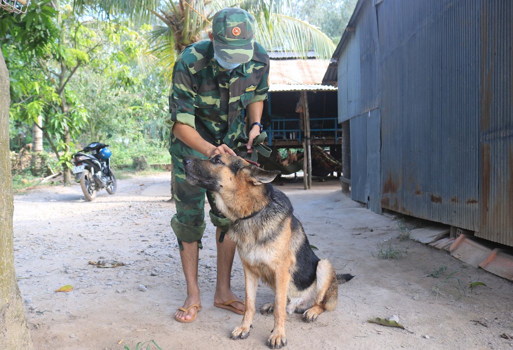 Cảnh khuyển vùng biên