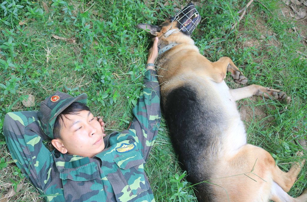 Cảnh khuyển vùng biên