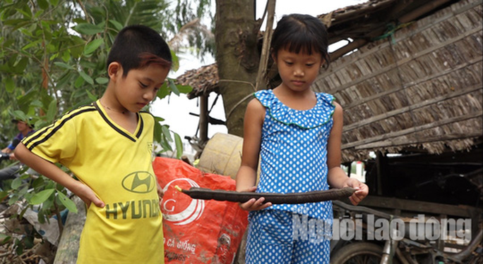 Về miền Tây ngắm vẻ đẹp dung dị của bông và trái ô môi