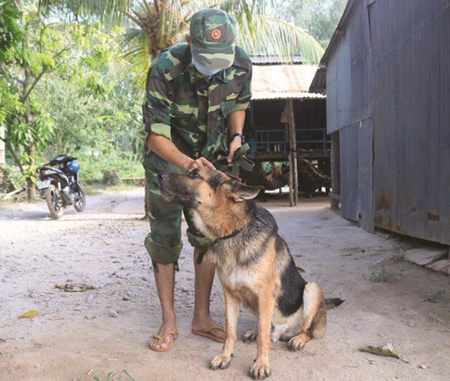 Cảnh khuyển tham gia chống “giặc” Covid-19
