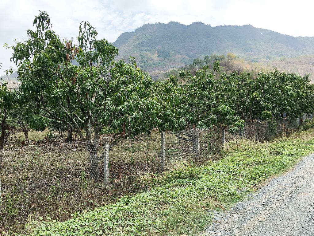 Đổi thay ở một vùng đất khó khăn