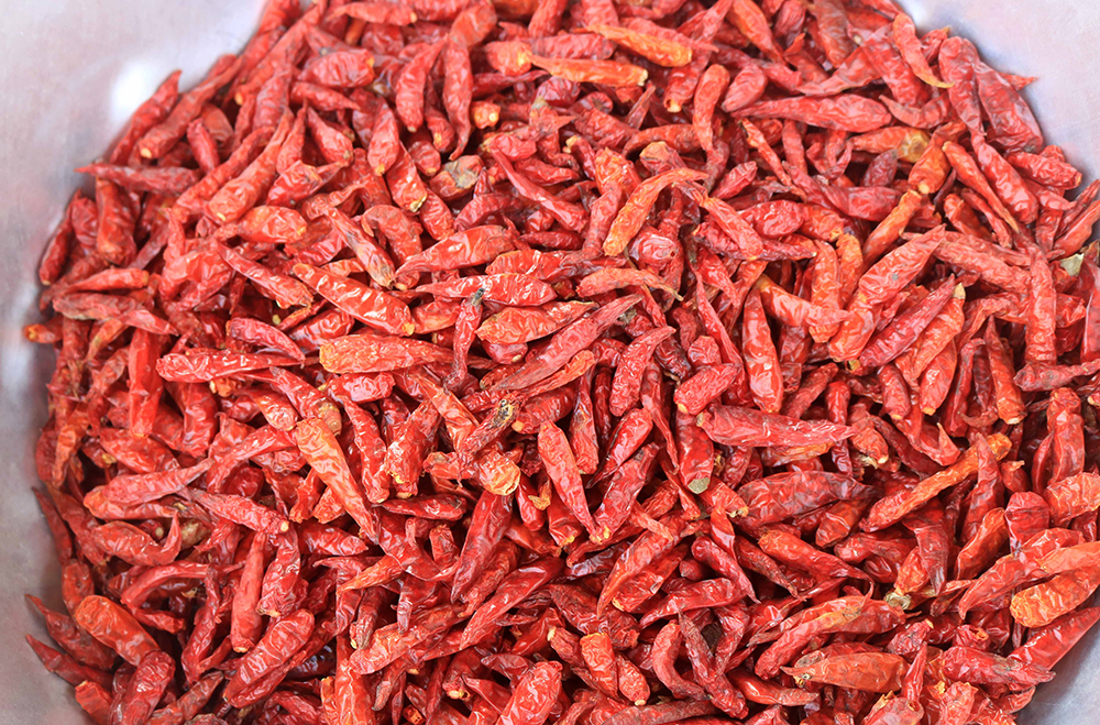Xứ ớt Phú Hữu Xứ ớt Phú Hữu