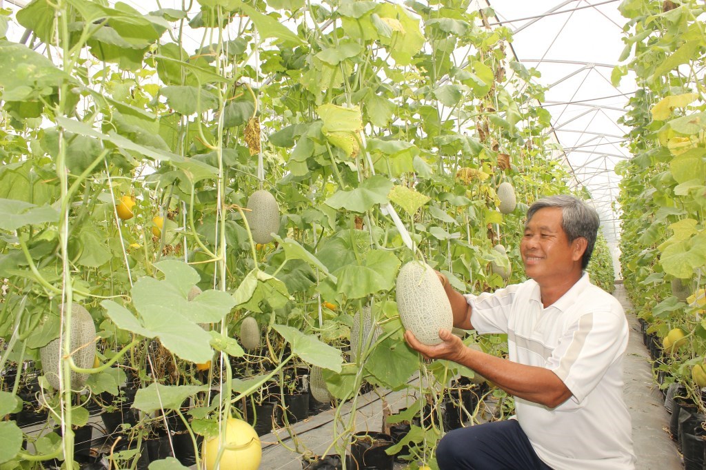 Phát triển sản xuất nông nghiệp ứng dụng công nghệ cao