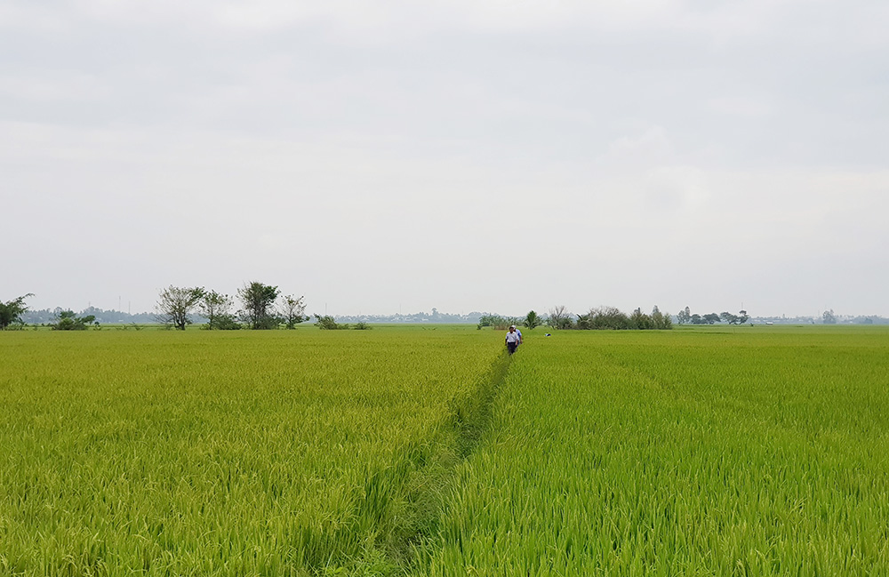 Bất cập Luật Đất đai năm 2013