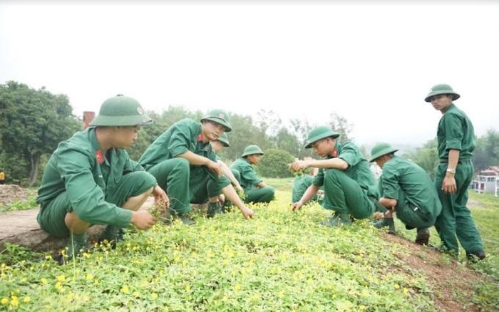 Trên đồi A1 hôm nay