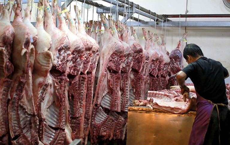 Giá heo hơi hôm nay 7-5: Tiếp đà tăng, lợn đẹp giá 95.000 đồng/kg