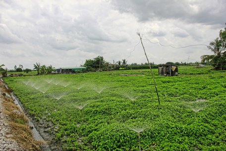 Vĩnh Long: Hướng tới nông thôn mới kiểu mẫu
