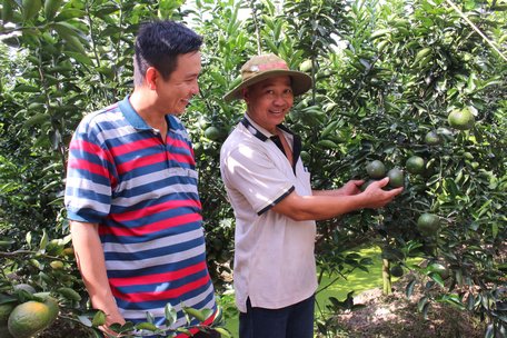 Vĩnh Long: Kinh tế tăng trưởng toàn diện, nông thôn ngày càng đổi mới