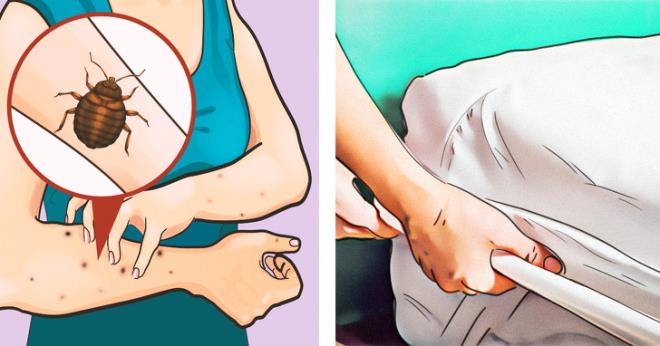 12 điều phải làm ngay khi bước vào phòng khách sạn