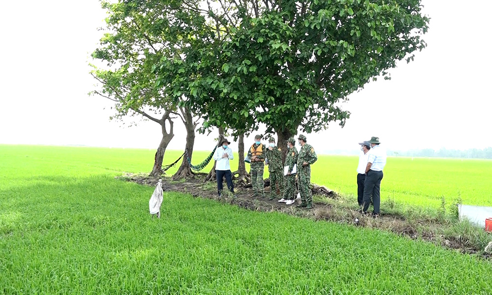Không lơ là công tác phòng, chống buôn lậu