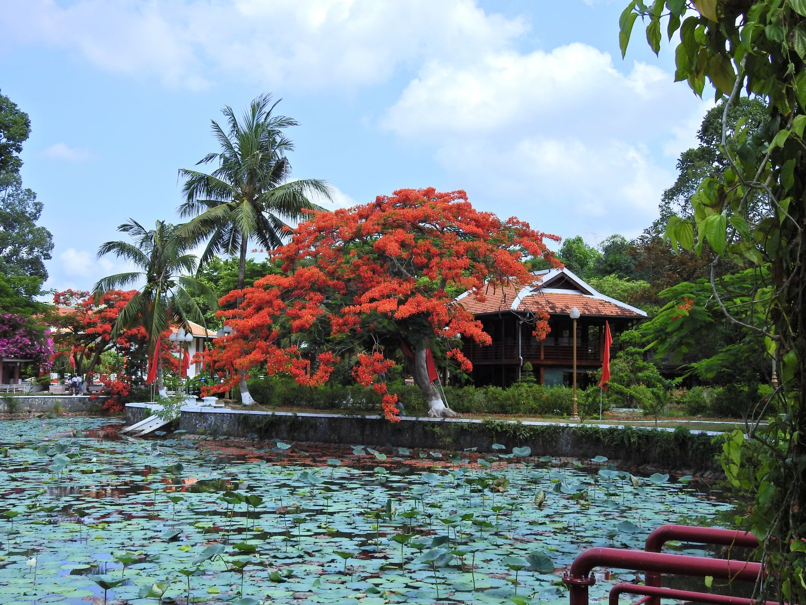 Ngắm nhà sàn Bác Hồ giữa đất phương Nam