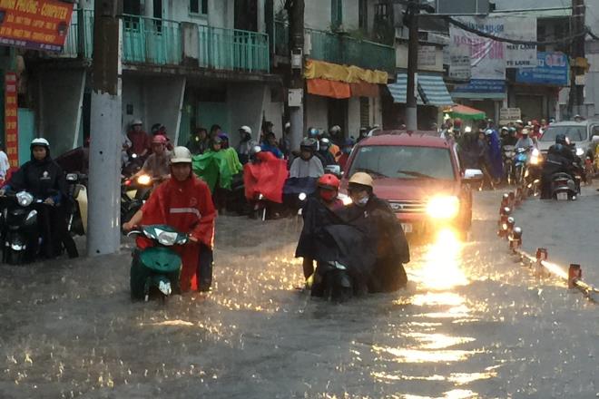 Năm 2020, bão mạnh sẽ xuất hiện nhiều hơn